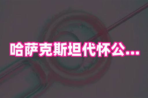 武汉助孕网 4